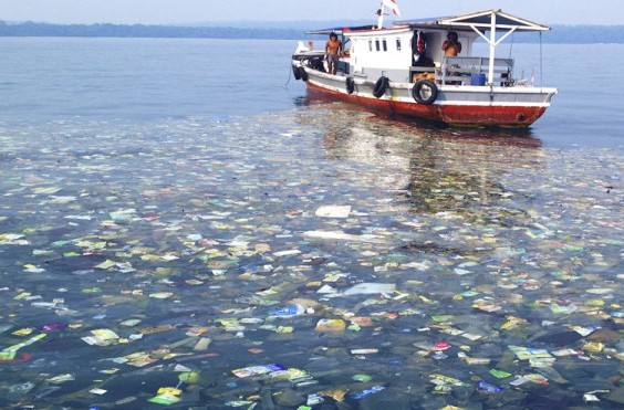 那个和德克萨斯州面积相当的海上垃圾地带---